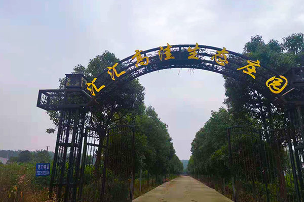 肥東高洼